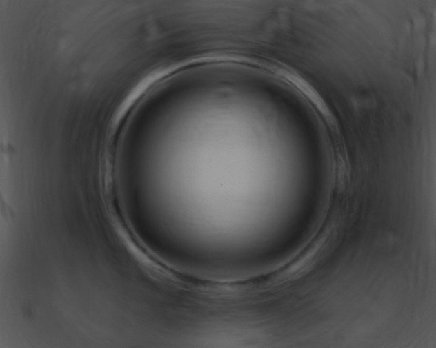 X0000090971101200708021432