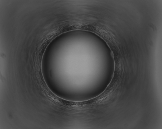 X0000090971105200708021431