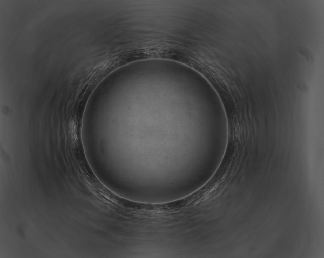 X0000090971106200708021431