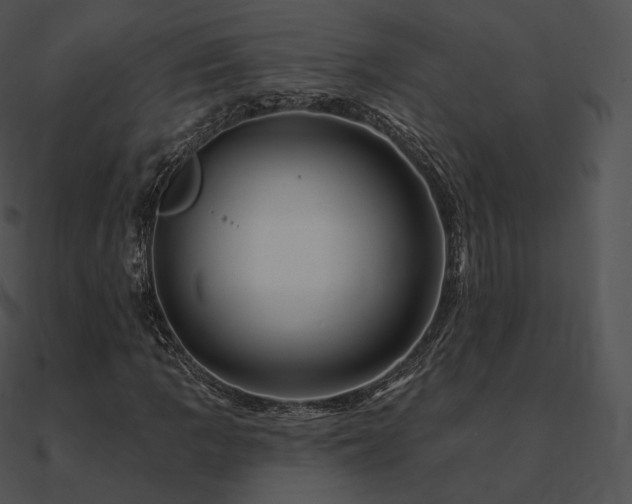 X0000090971109200708021431