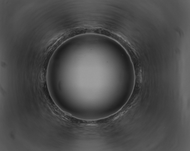 X0000090971110200708021431