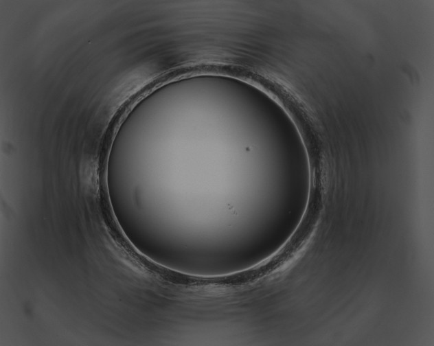 X0000090971113200708021431