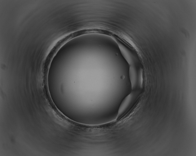 X0000090971116200708021431