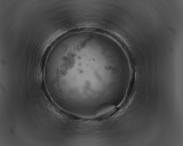 X0000090971117200708021431