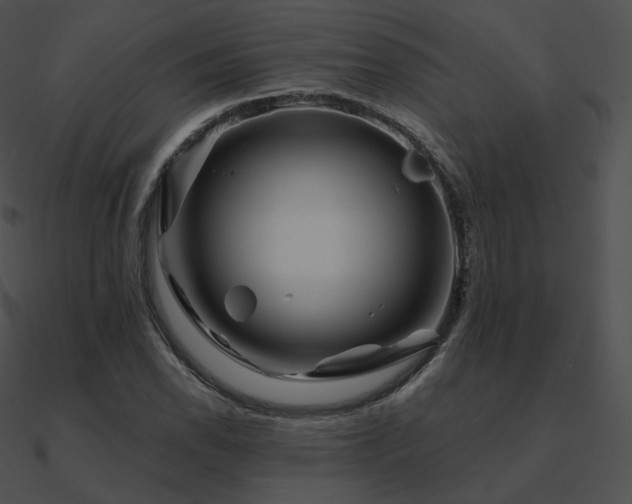 X0000090971118200708021431