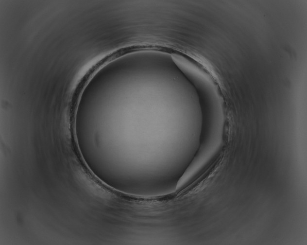 X0000090971120200708021431