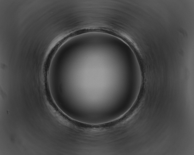 X0000090971122200708021431