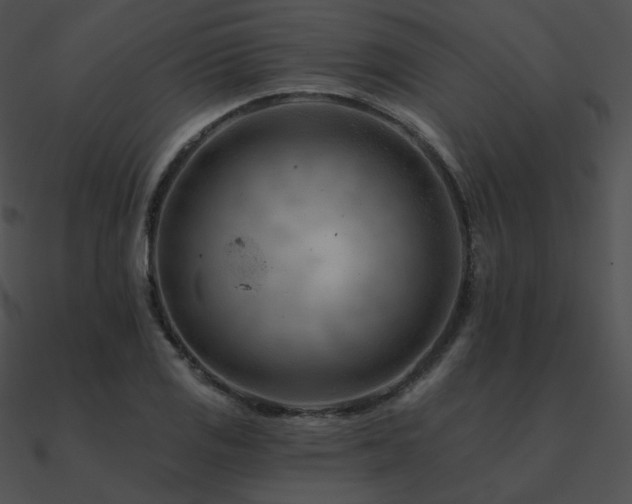 X0000090971125200708021431