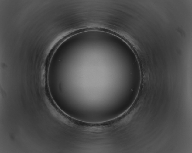 X0000090971126200708021431