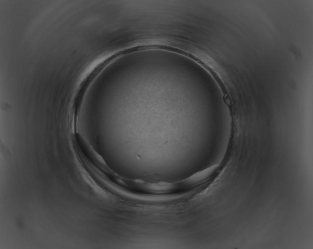 X0000090971127200708021431