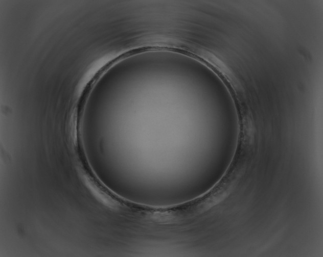 X0000090971128200708021431