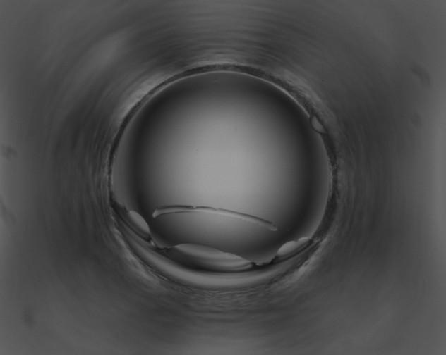 X0000090971129200708021431