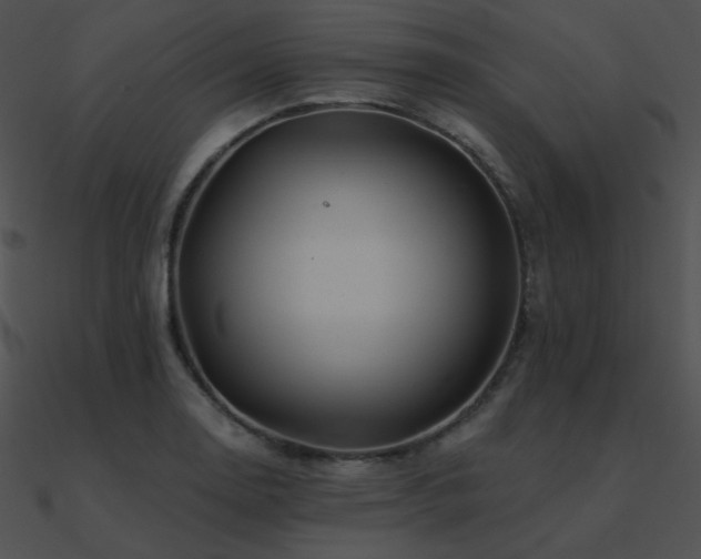 X0000090971130200708021431