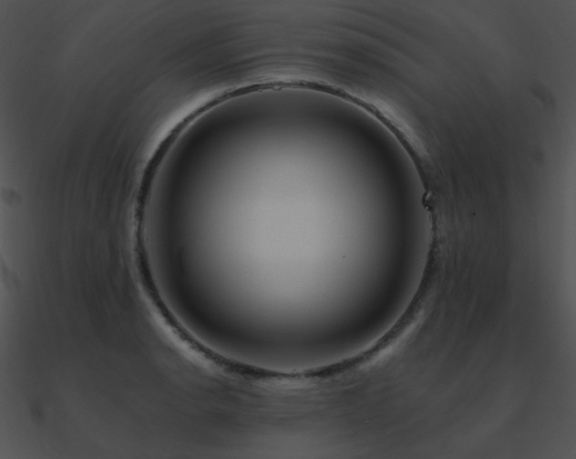 X0000090971134200708021431