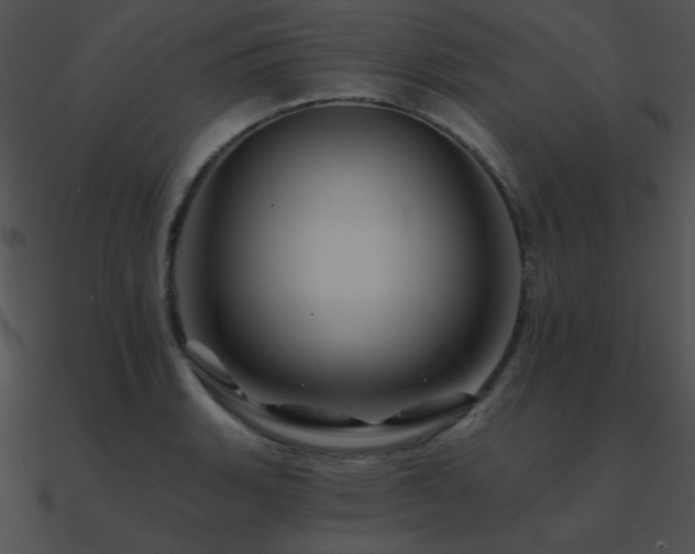 X0000090971135200708021431