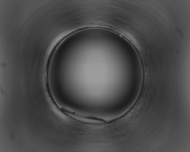 X0000090971136200708021431