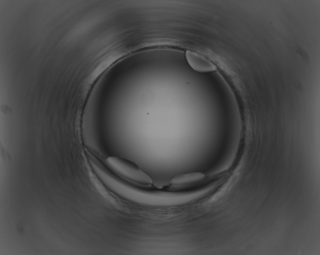 X0000090971137200708021431