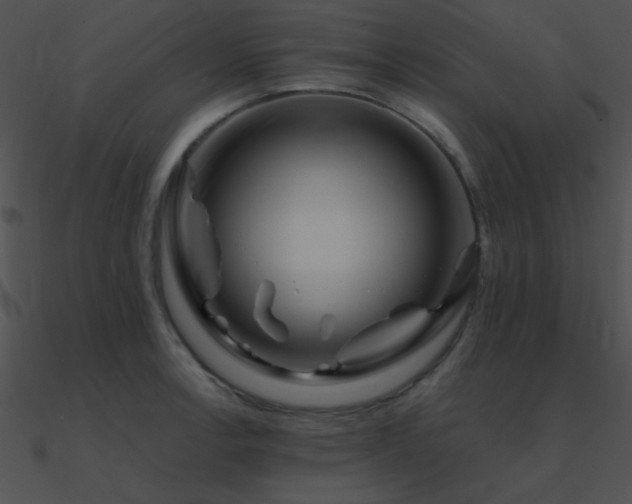 X0000090971138200708021431