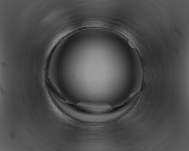 X0000090971139200708021431