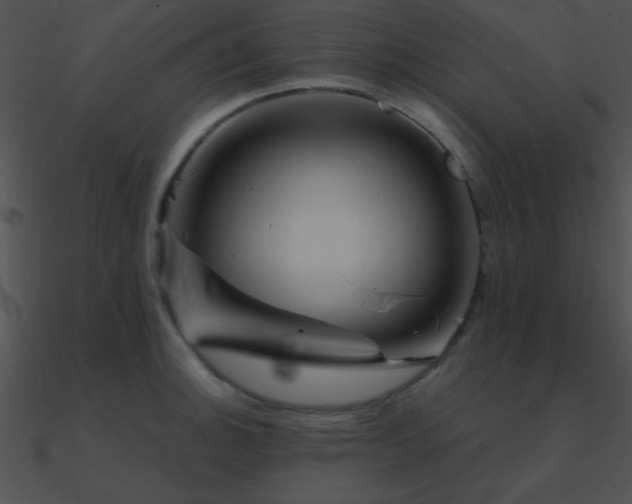 X0000090971140200708021431