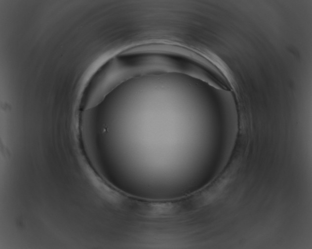 X0000090971144200708021432