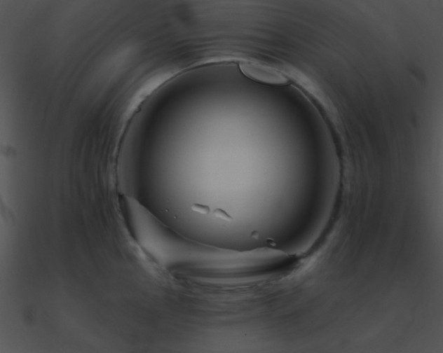 X0000090971145200708021432