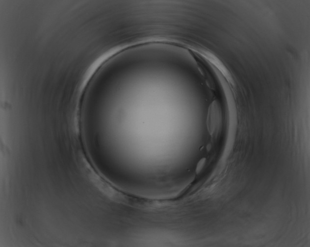 X0000090971148200708021432