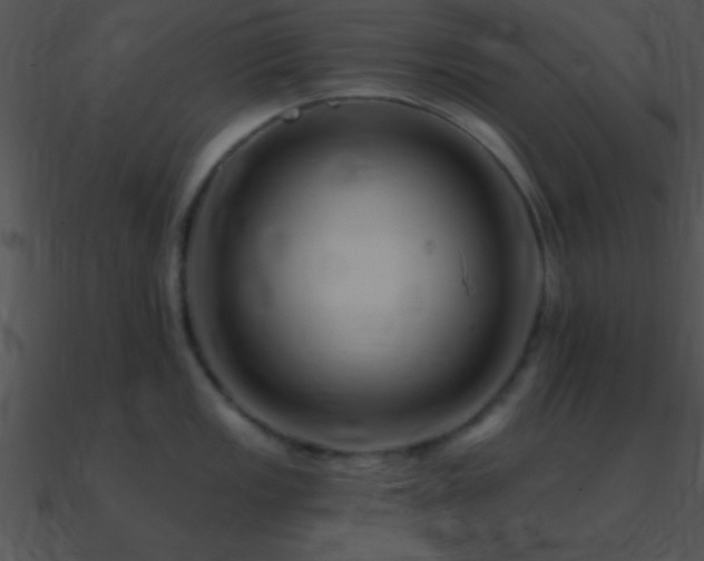 X0000090971149200708021432