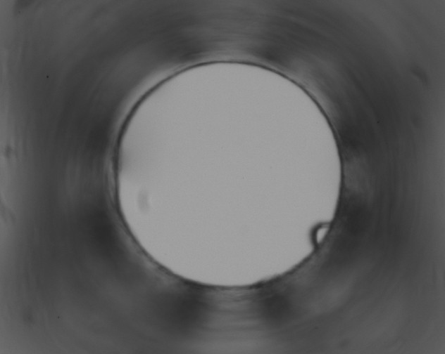 X0000090971150200708021432