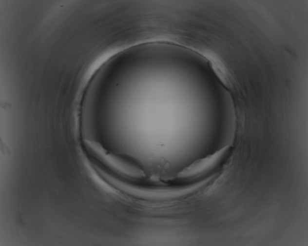 X0000090971151200708021432