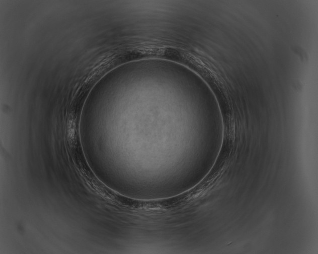 X0000090971154200708021431