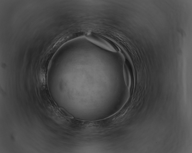 X0000090971155200708021431