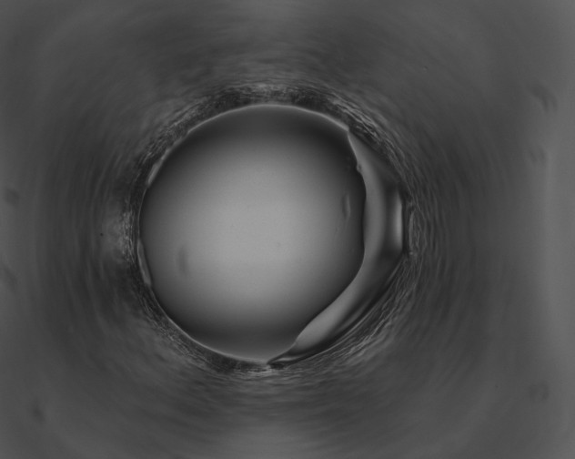 X0000090971156200708021431