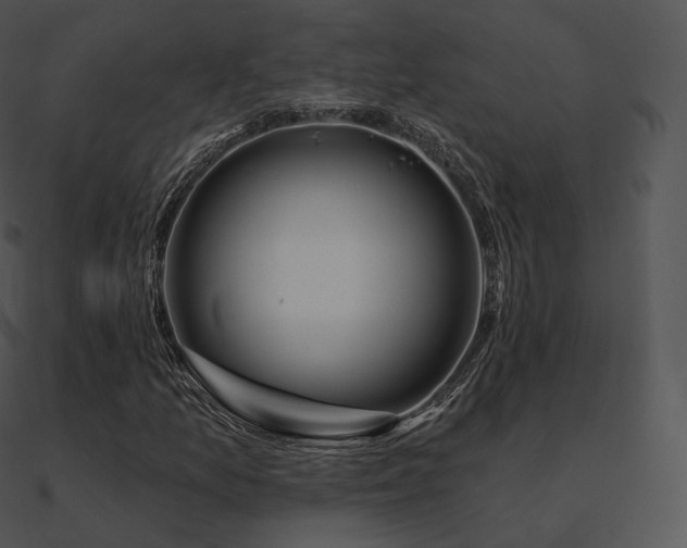 X0000090971157200708021431