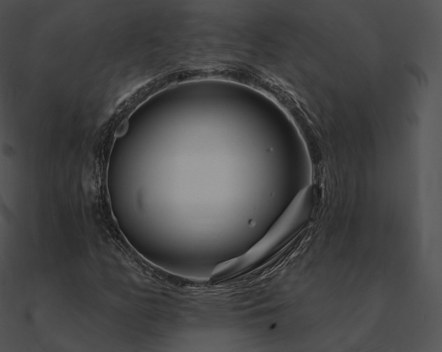 X0000090971158200708021431