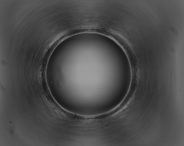 X0000090971162200708021431