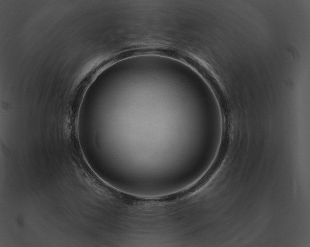 X0000090971163200708021431