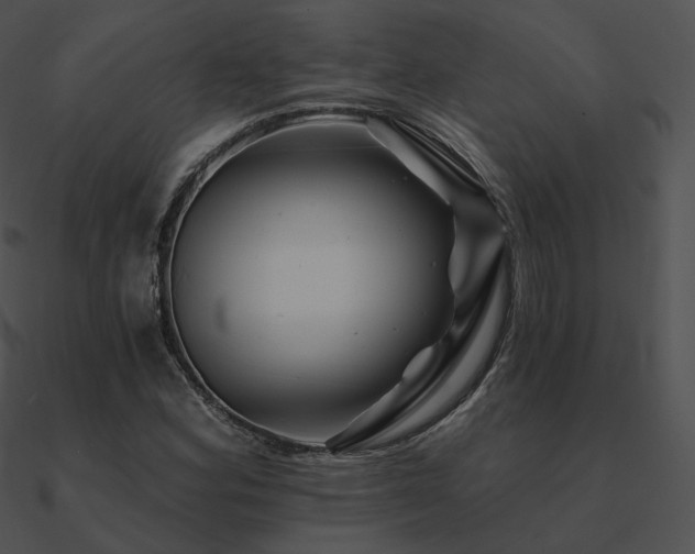 X0000090971164200708021431