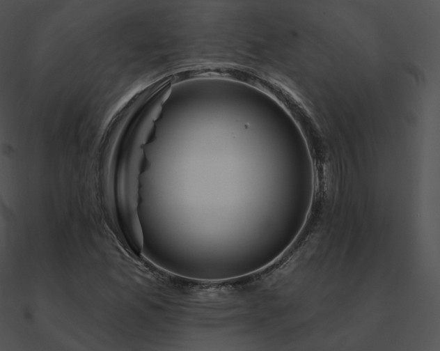 X0000090971165200708021431