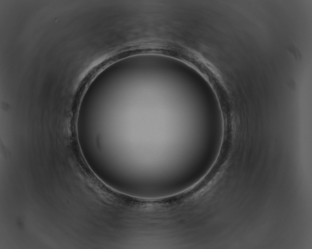 X0000090971166200708021431