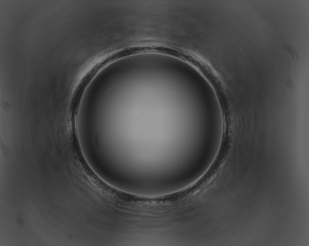 X0000090971167200708021431