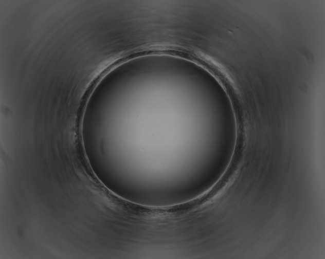 X0000090971170200708021431