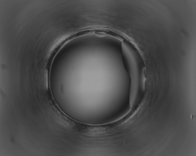 X0000090971171200708021431