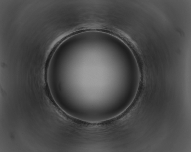 X0000090971174200708021431