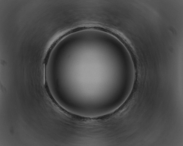 X0000090971175200708021431