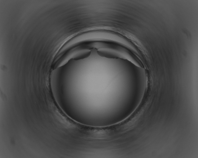 X0000090971177200708021431