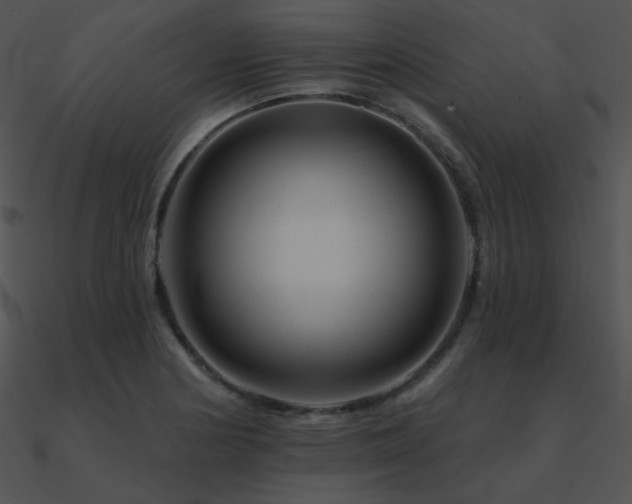 X0000090971178200708021431