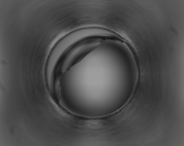 X0000090971181200708021431