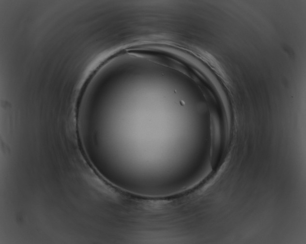 X0000090971184200708021430