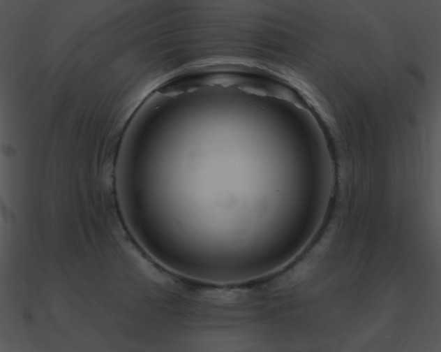 X0000090971185200708021430